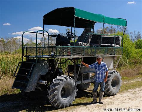 what is a swamp buggy